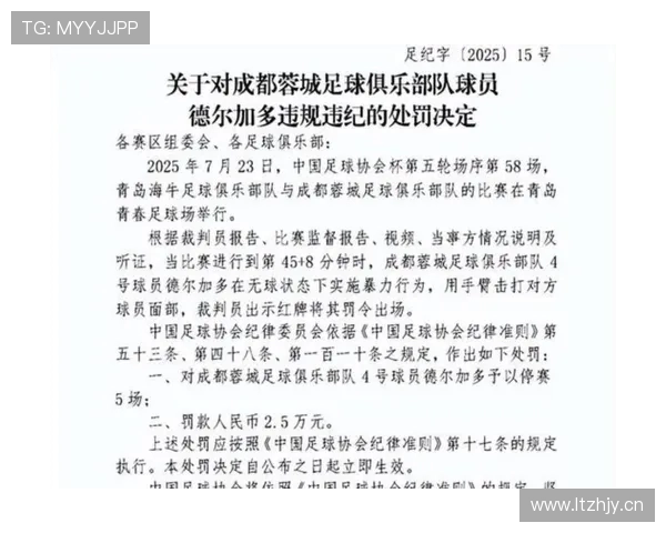 裁判判罚未造成严重后果但深刻影响泰山队比赛情绪
